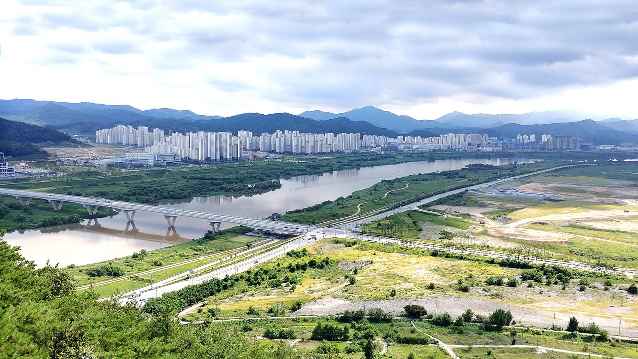 티켓나라 강남